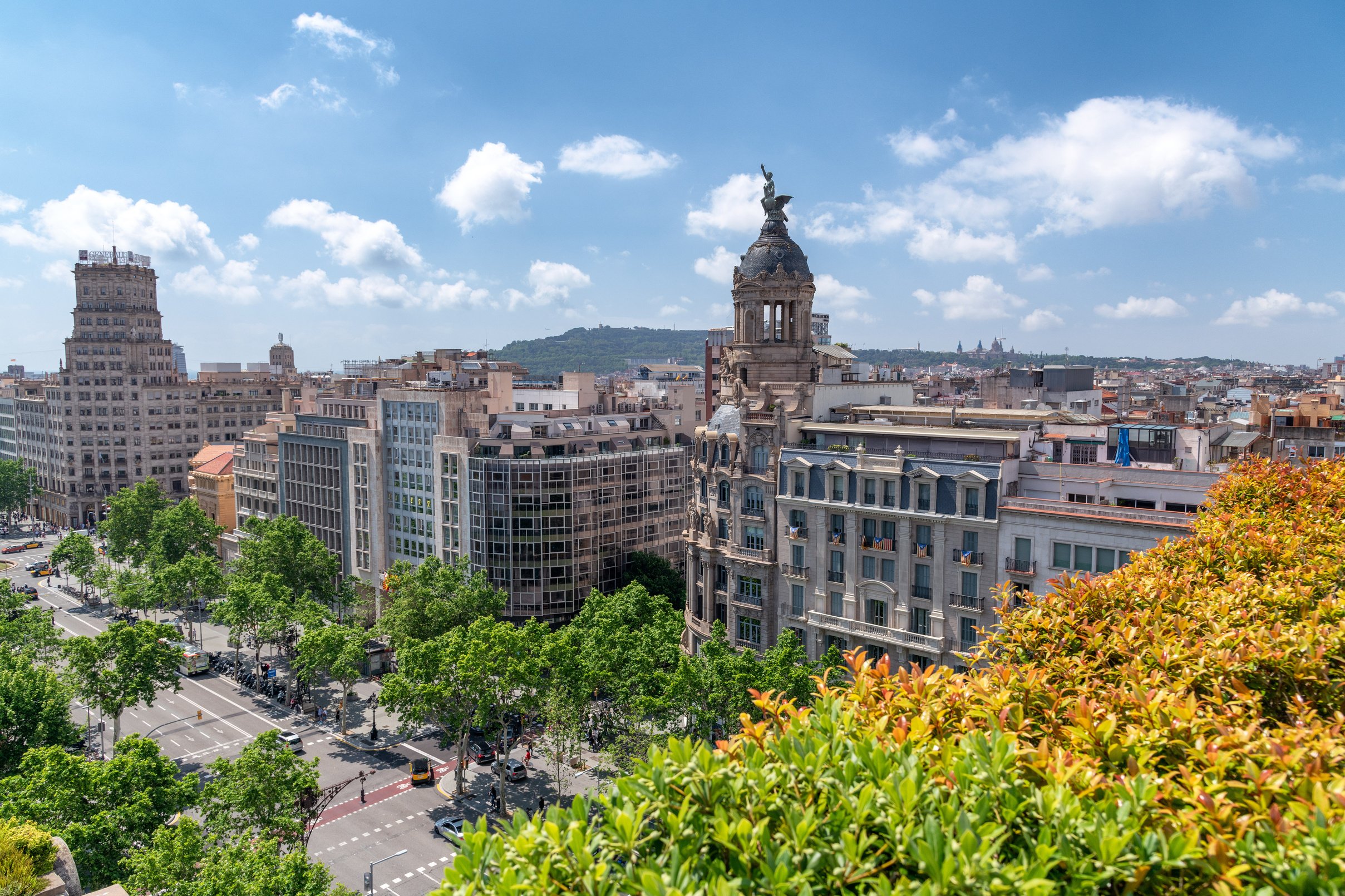 Aerial View of Passeig De Gracia in Spring